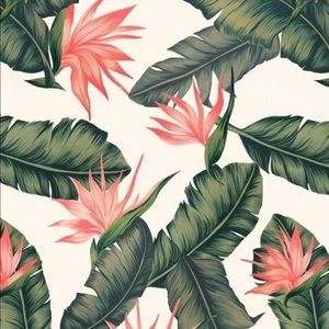 Meet your Posher, Marleen